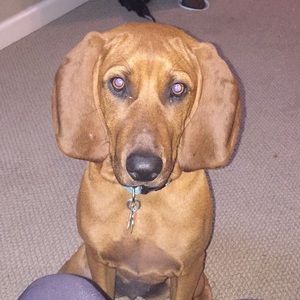 Meet your Posher, Christi